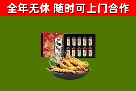 天台回收冬虫夏草价格